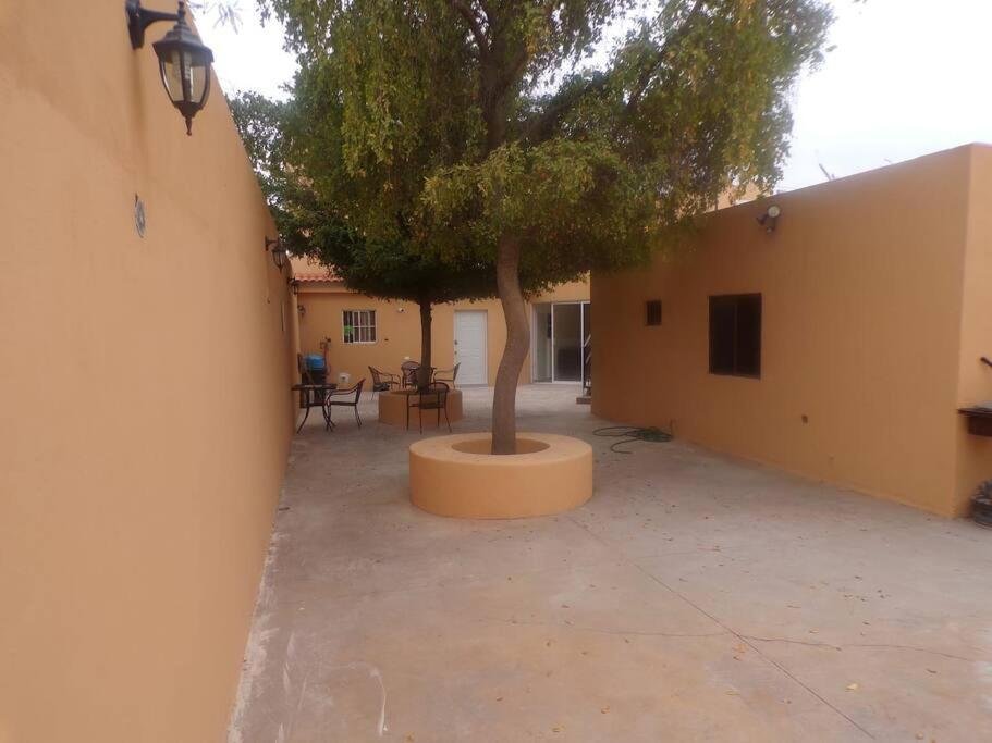 Loft 15: Central Comfort near Government Center Hermosillo Exterior photo